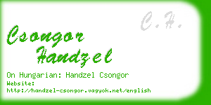csongor handzel business card